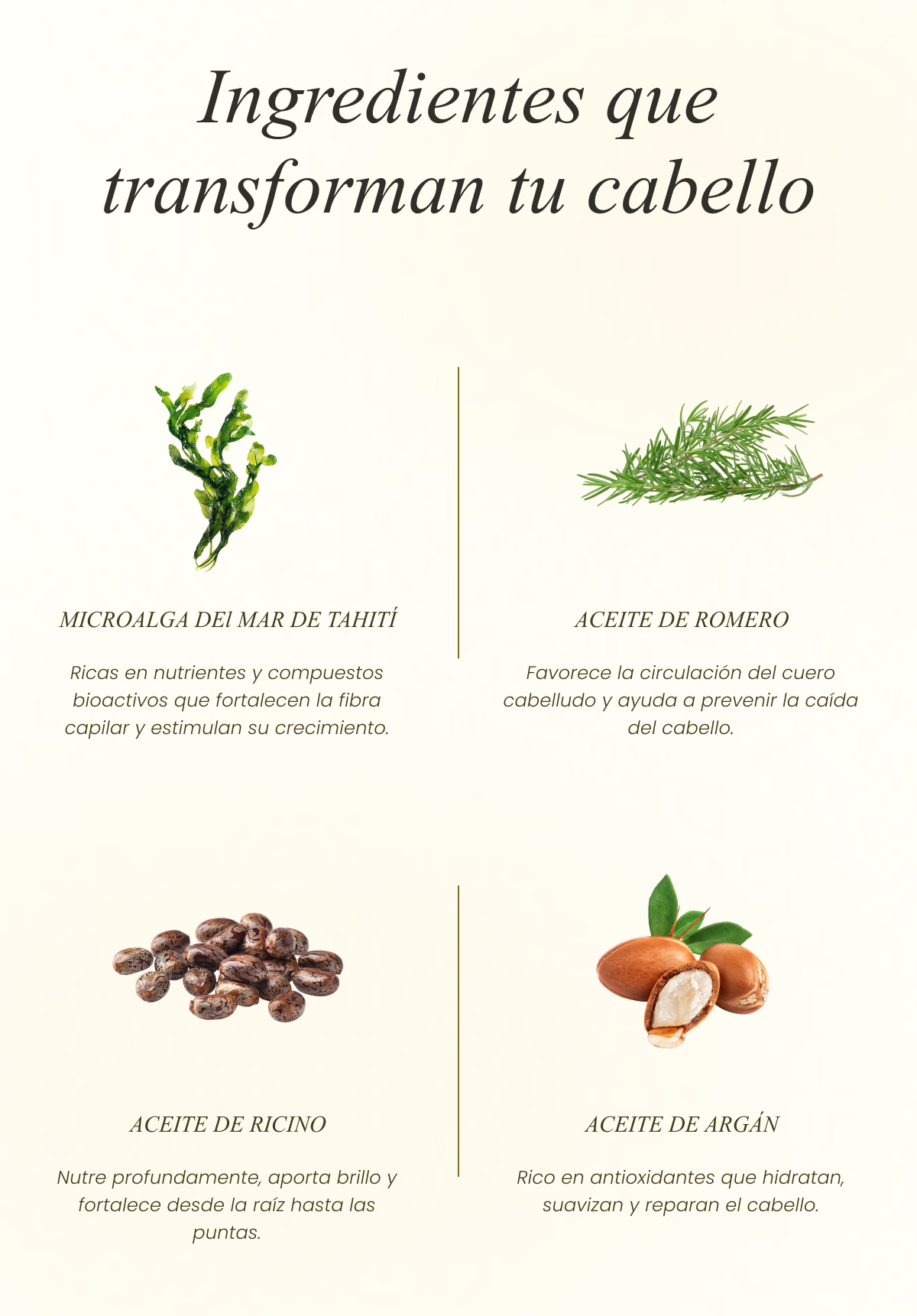 Banner_Ingredientes_-_Mobile.png