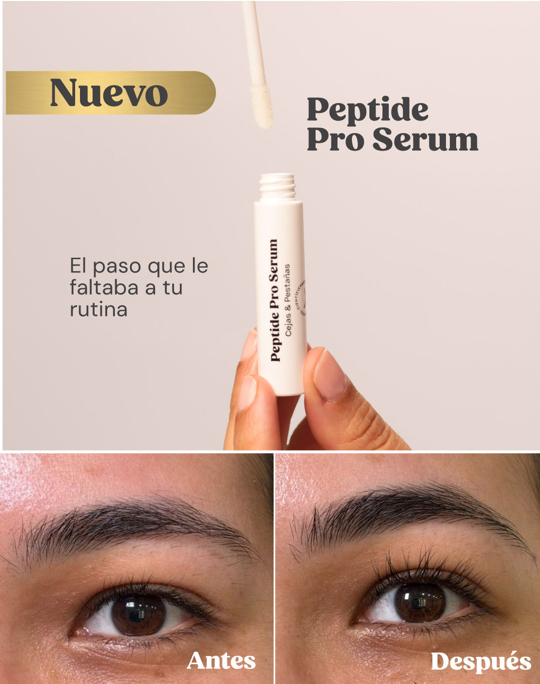 Banner_cejas_y_pestanas-04.jpg