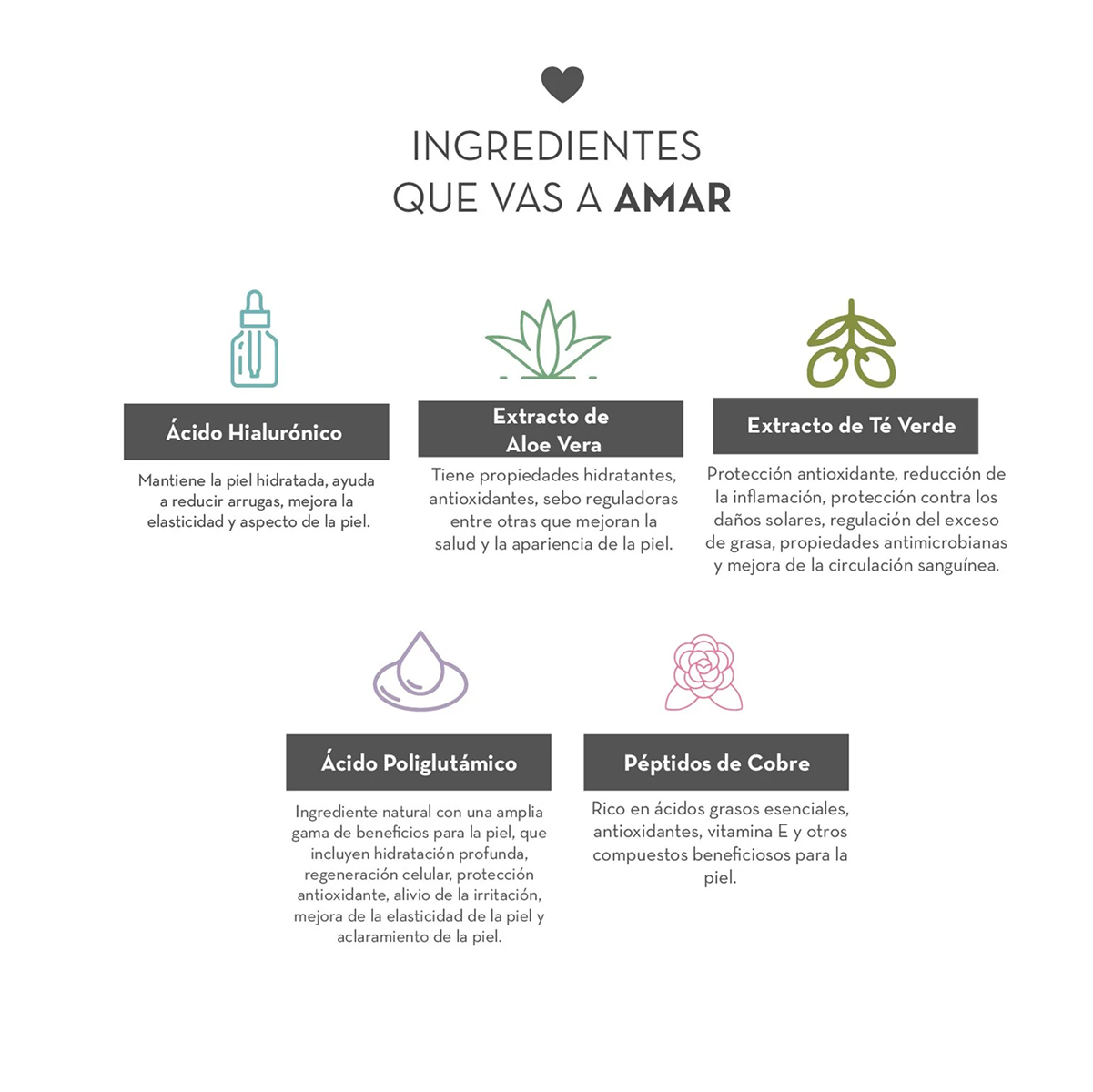 Ingredientes del Serum Hidratante con Péptidos Dermanat