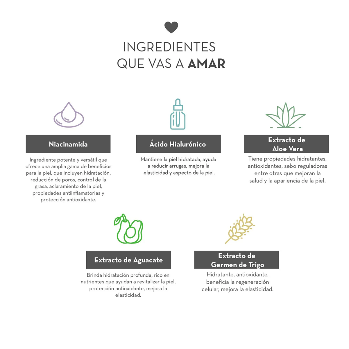 Ingredientes del Sérum con niacinamida al 10% Dermanat