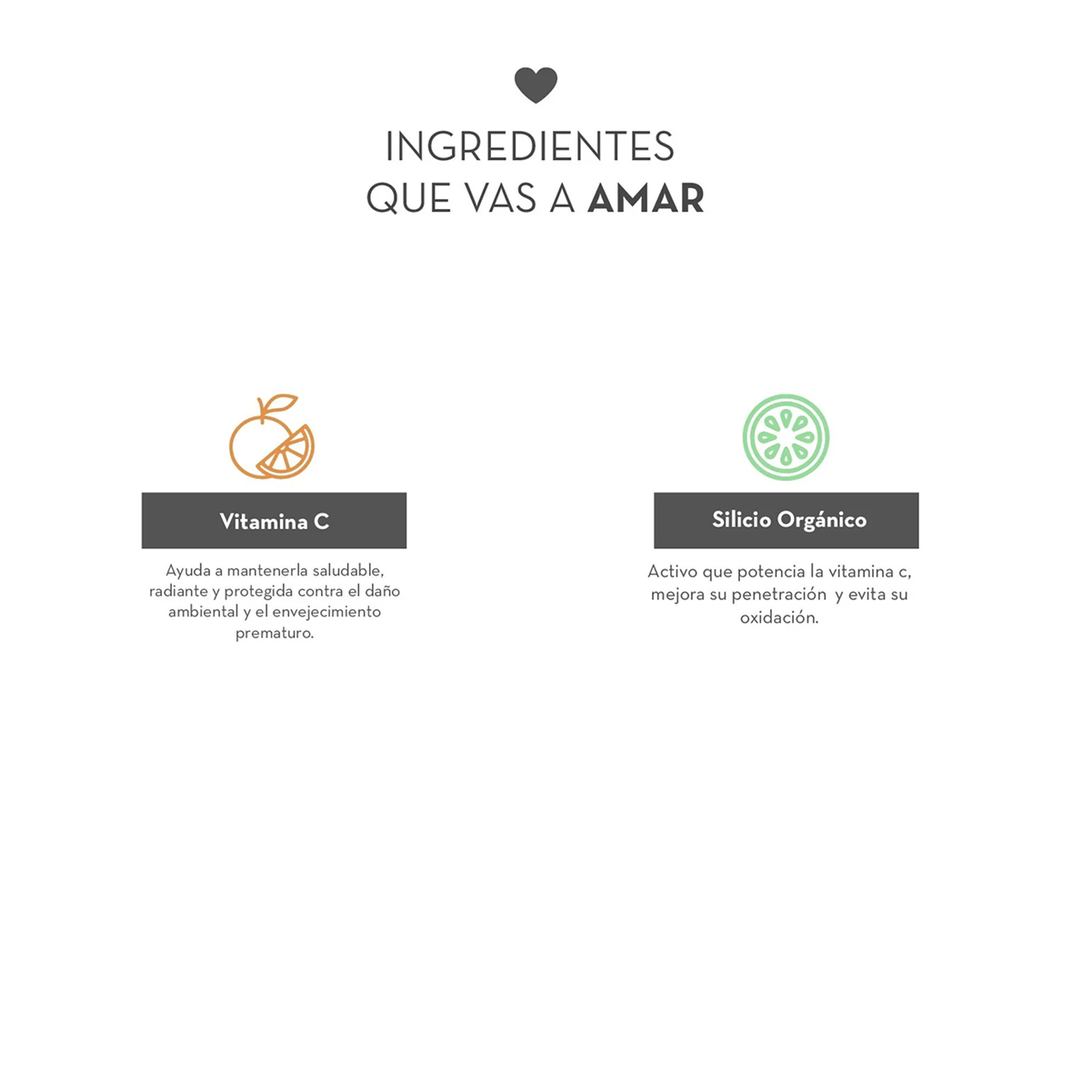 Ingredientes del Sérum antioxidante de vitamina C Dermanat