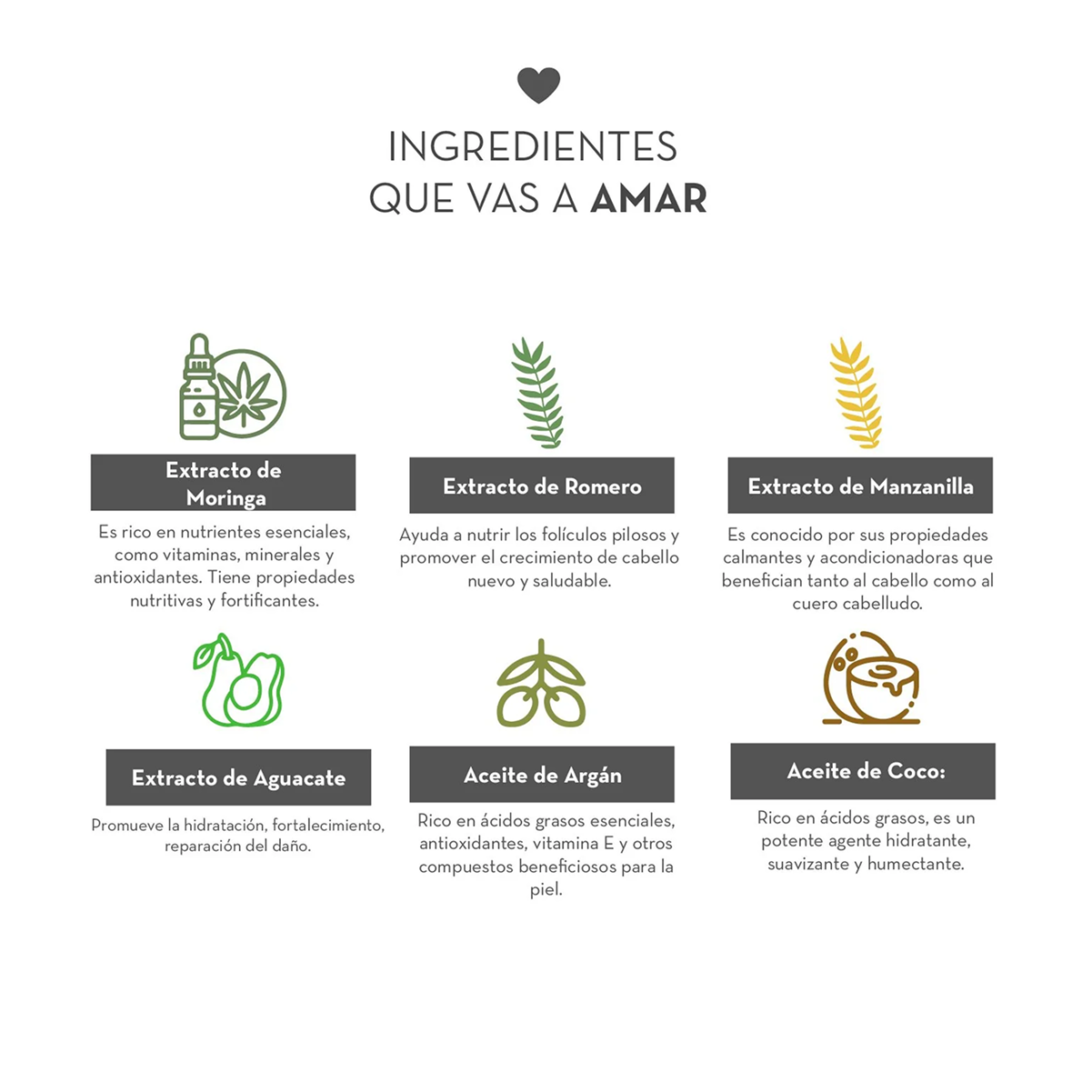 SHAMPOO NUTRITIVO SIN SAL | DERMANAT